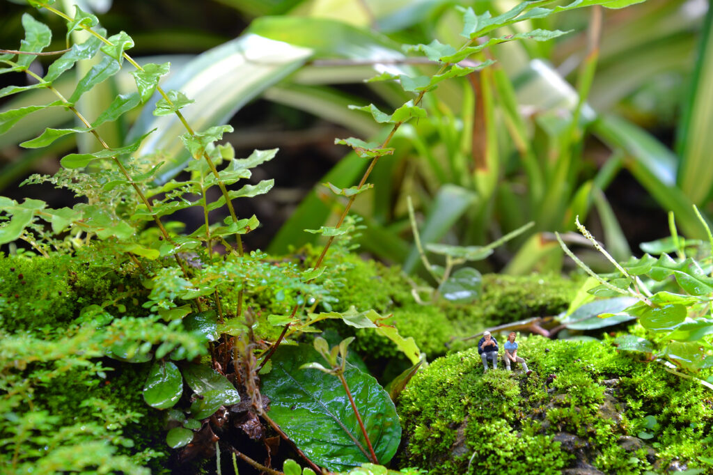 Close-up of a terrarium with tiny people