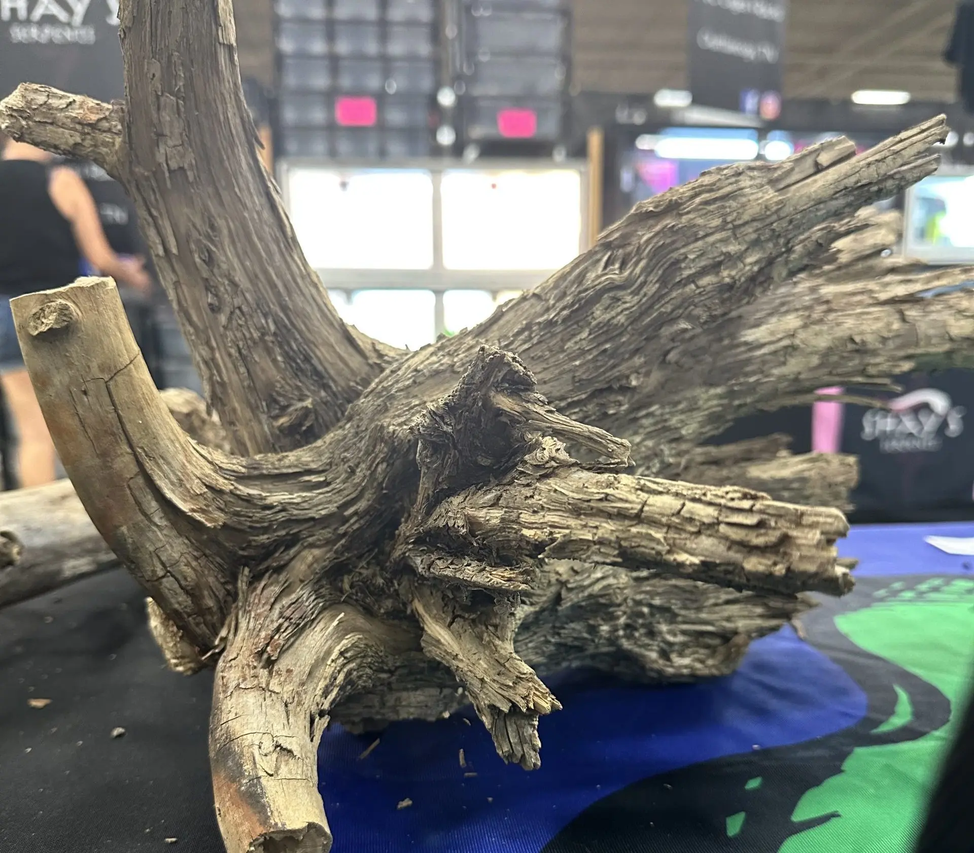 Driftwood on a table